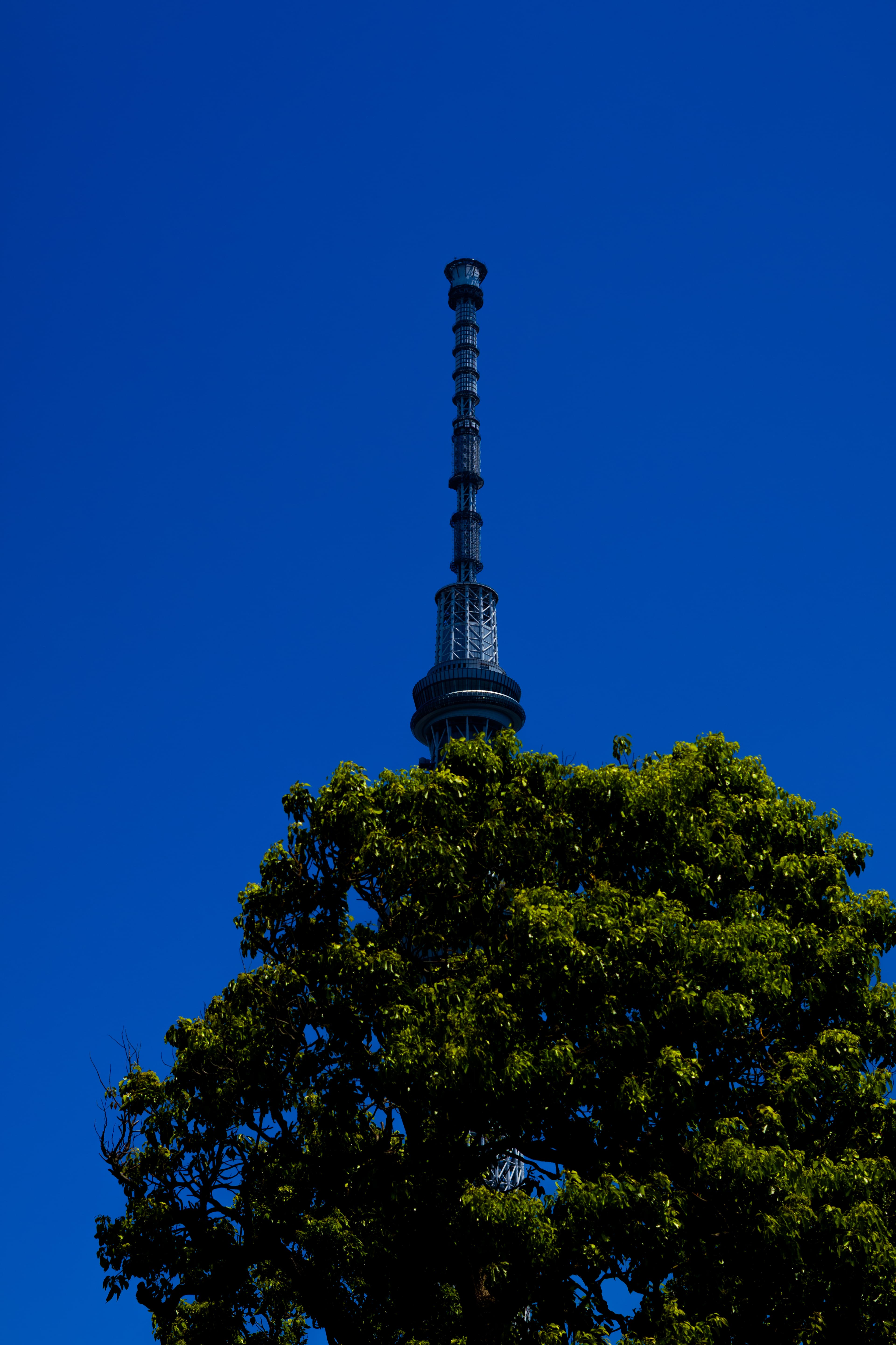 City tower
