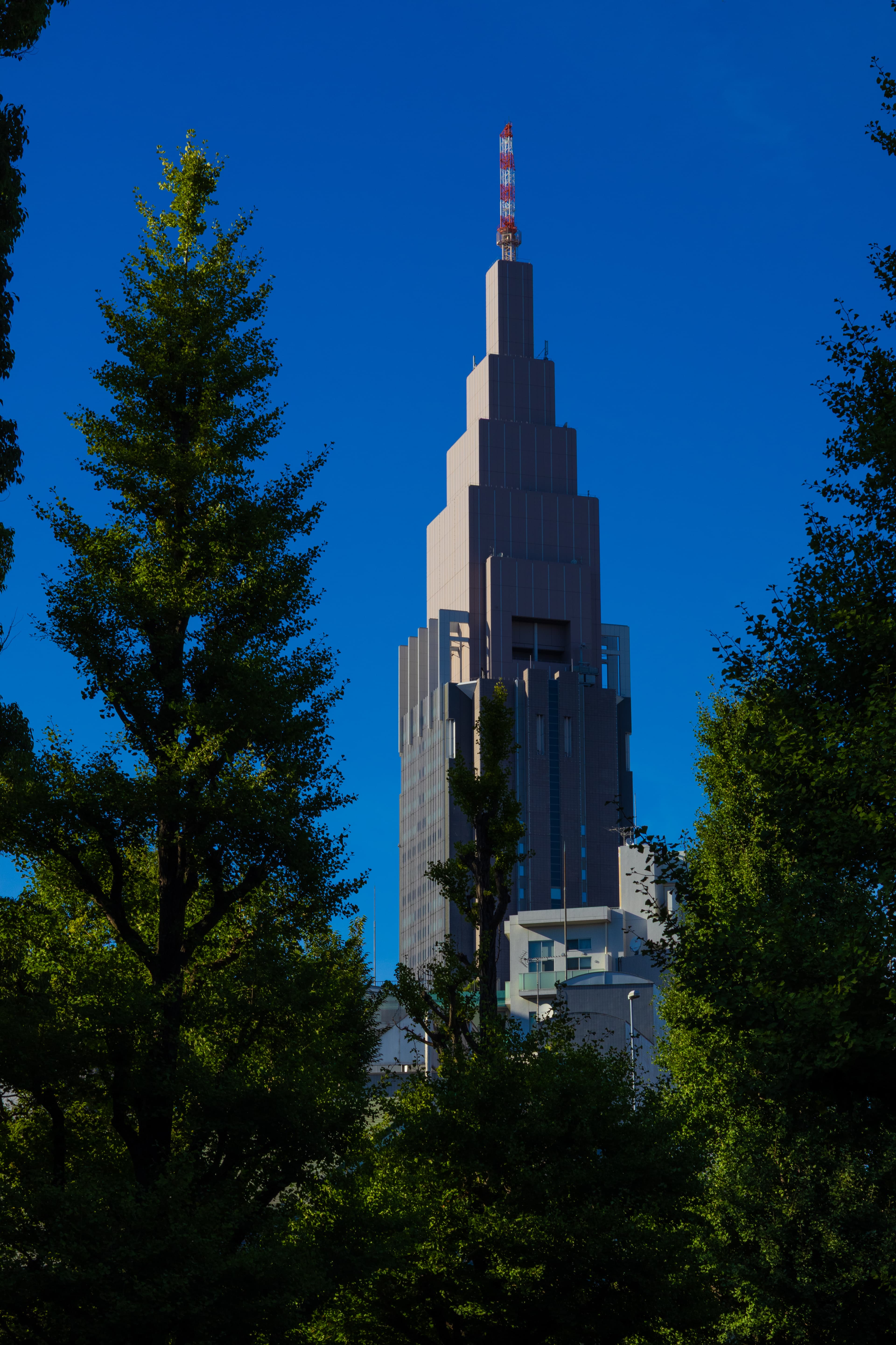 NTT Docomo Yoyogi tower over the treeline